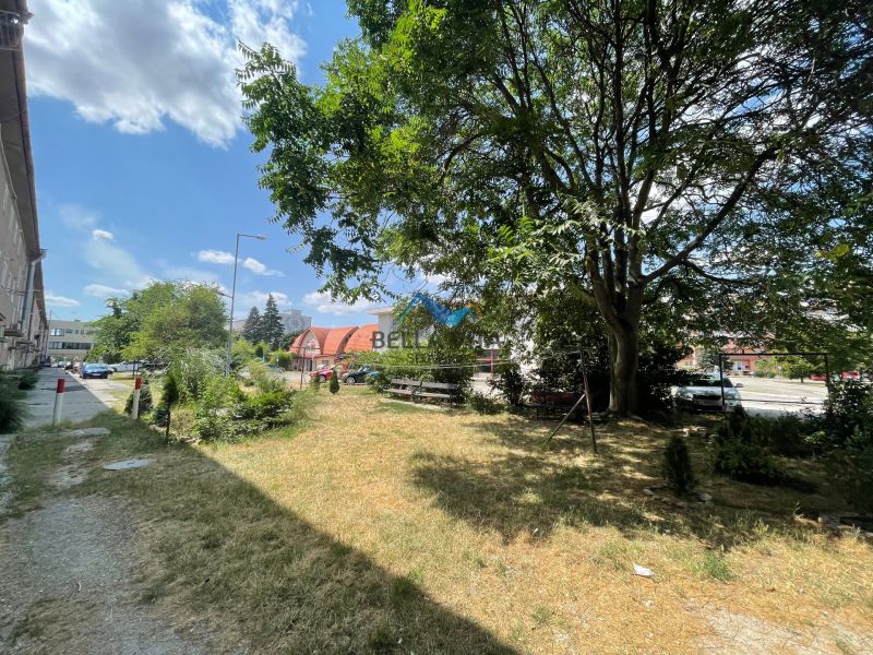 Exteriér s trávnikom a stromami na Hlavnej ulici v Galante.
