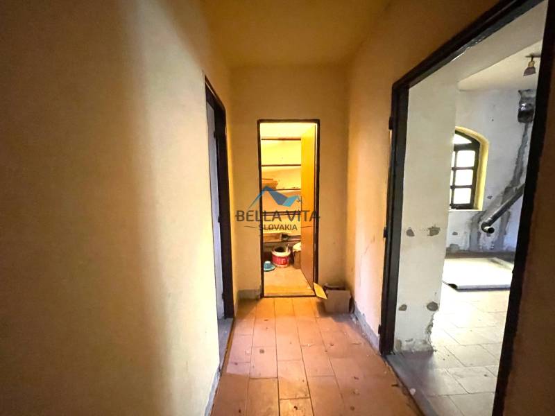 rd košúty TOPI 6.jpeg