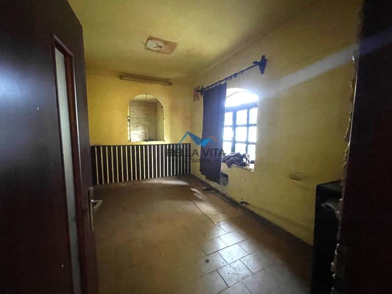 rd košúty TOPI.jpeg