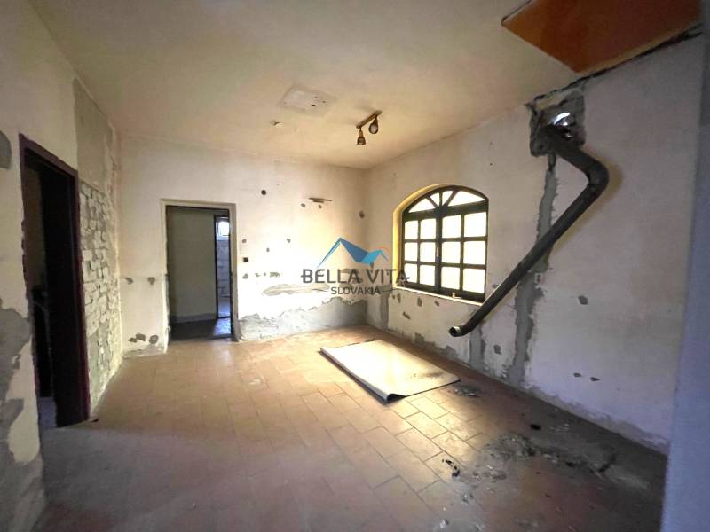 rd košúty TOPI 2.jpeg