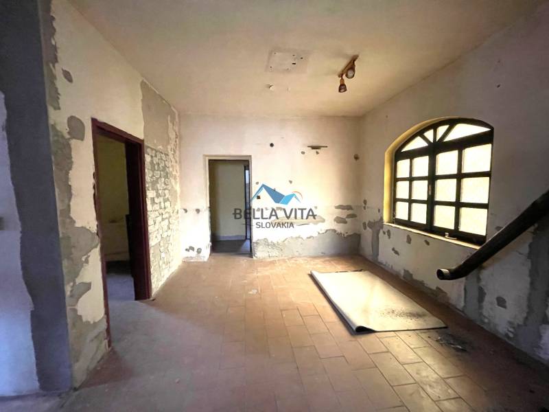 rd košúty TOPI 1.jpeg