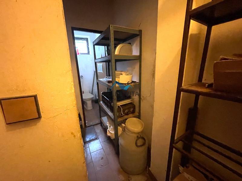 rd košúty TOPI 4.jpeg