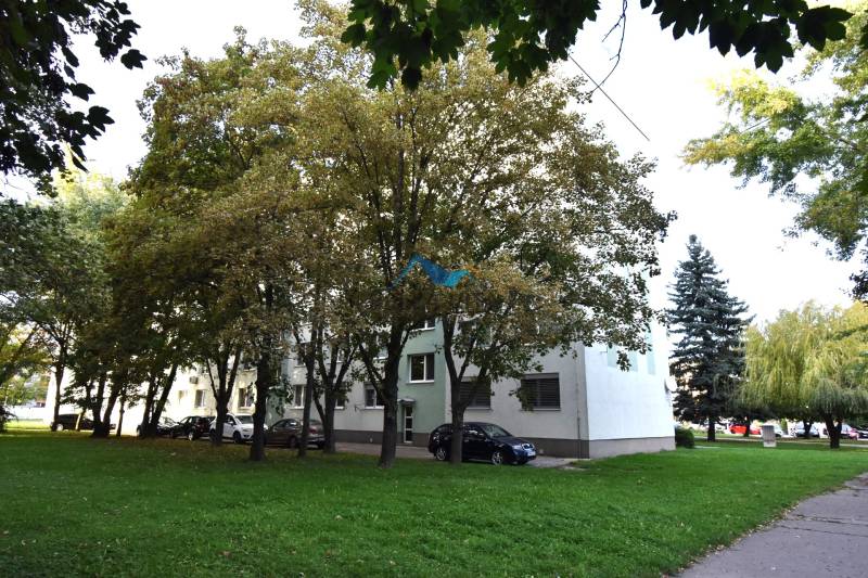 Budova obklopená stromami na Clementisových sadoch v Galante, kde parkujú autá pri 3-izbovom byte.