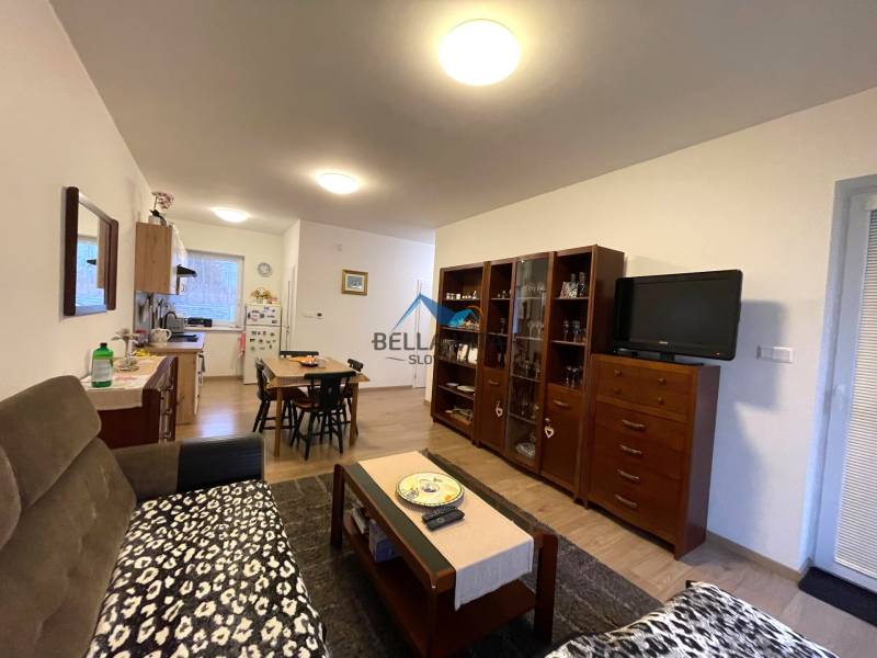 Obývacia miestnosť a kuchyňa rodinného domu s podlahou s dreveným dekorom a nábytkom.