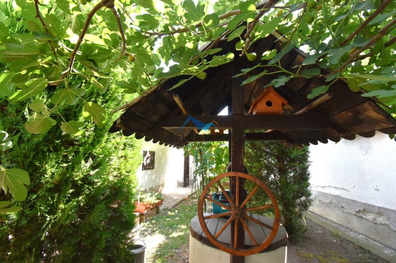 DSC_0057 – kópia.JPG