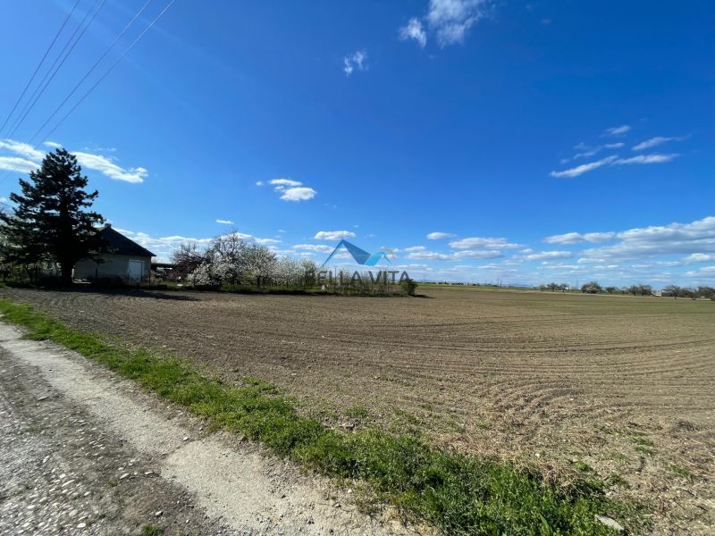 Pozemky - bývanie v Košútoch na ulici Košúty, rozsiahle pole a vidiecka krajina.